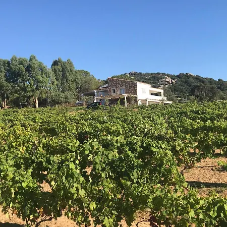 Elena Villa Palau